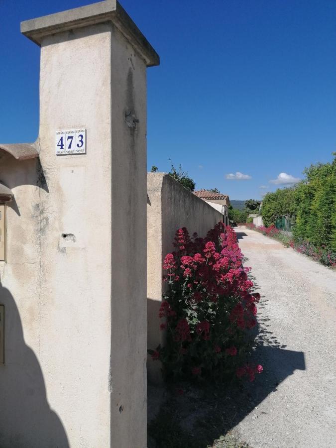 A L'Ombre De L'Olivier Appartement LʼIsle-sur-la-Sorgue Buitenkant foto